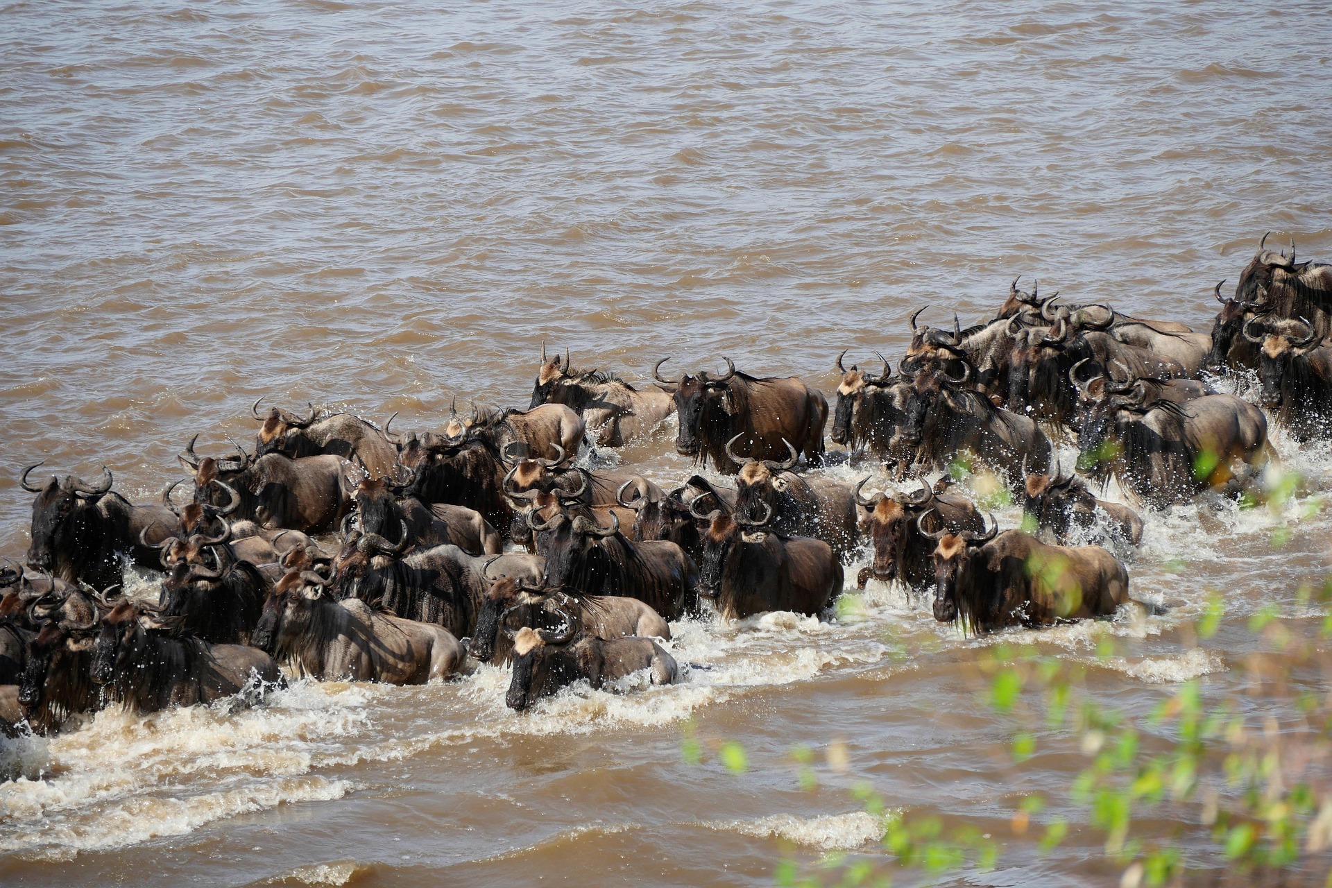 Garden Route Adventure and Safari tour